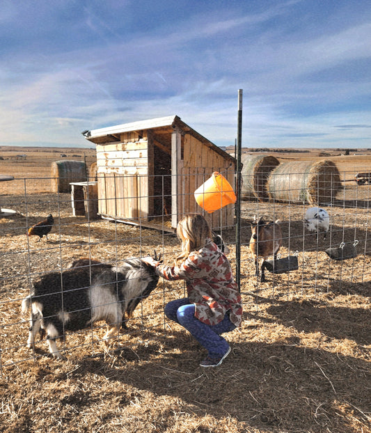 From Sourdough to Soap: My Path to Goat Milk Soap